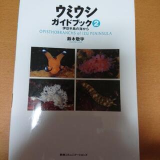 伊豆半島の海からウミウシガイドブック