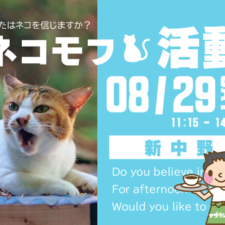 ■08/29　【モフ活】保護猫と隠れたカフェへ