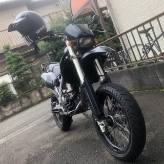 Dトラッカー  LX250E 程よいカスタム