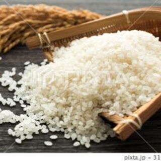 新米コシヒカリ西米良産1俵 【公式通販】
