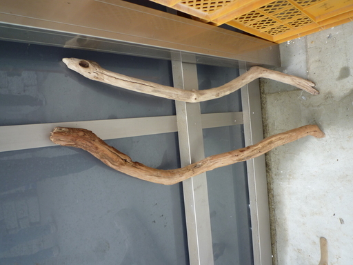 使い方いろいろ 流木 すたあ 高松のその他の中古あげます 譲ります ジモティーで不用品の処分