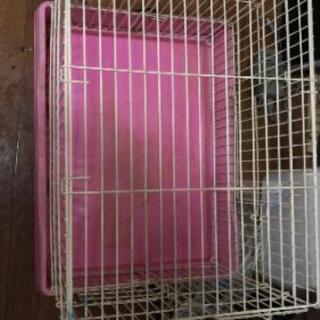 中古ゲージ ウサギが無料 格安で買える ジモティー