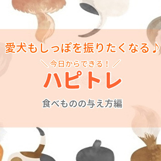 愛犬もしっぽを振りたくなる♪ 今日からできる！ハピトレ〜食べもの...