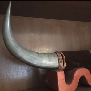 9月撤去決定！】水牛の角 牛 ツノ 開運