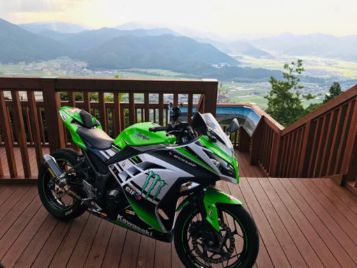 カワサキ Kawasaki Ninja250 Special Edition 30th anniversary