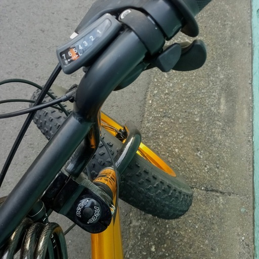 自転車バイク ISOLA Eサイクル ほぼ未使用 美品