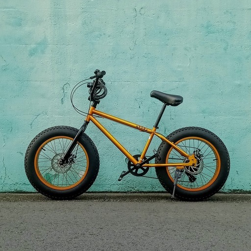 メーカー再生品 Blue様専用 ファットバイク ブロンクス お値下げしました Bronx 自転車本体 Www Marshsfireplaces Com