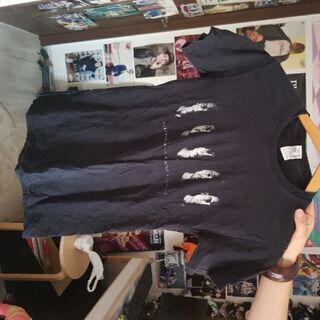 Sleeping With Sirens tシャツ