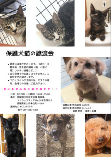 保護犬猫の譲渡会を開催します D C Lifeひめ 県庁前のその他のイベント参加者募集 無料掲載の掲示板 ジモティー