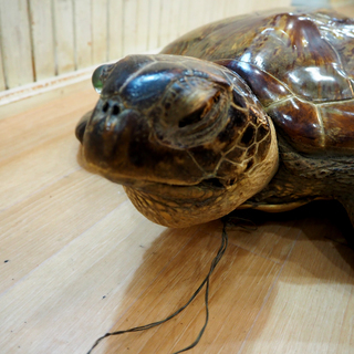 古道具 アンティーク オブジェ 木彫 猿と亀 アンティークな日本の根付 木彫り 猿の座像 * - Etsy 日本