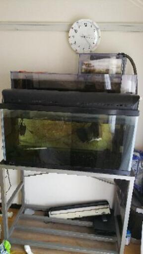 アカメ セミショート水槽セット