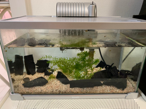 ガラス水槽 テトラアクアリウムセット そら 南小倉の生活雑貨の中古あげます 譲ります ジモティーで不用品の処分