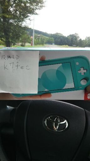 その他 Nintendo switch lite
