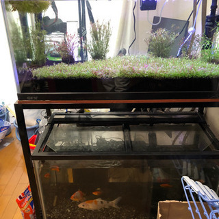 水槽類、1800、900スリム、900×2本