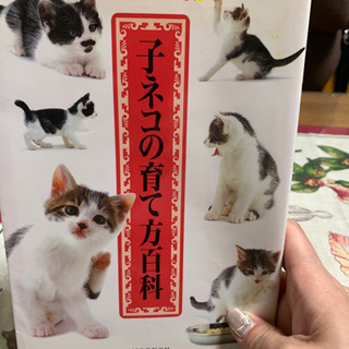 産まれたばかりの子猫用