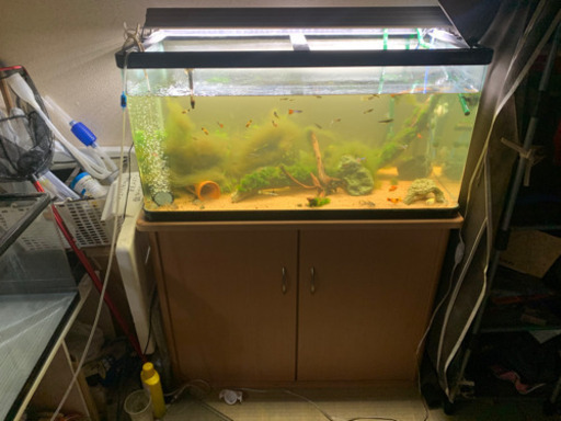 水槽セット 900 1 600 2 魚太郎 大牟田のその他の中古あげます 譲ります ジモティーで不用品の処分