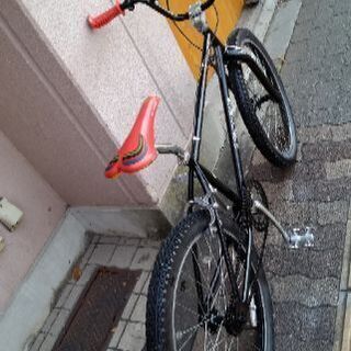 48：ビアンキカメレオンテスポーツジャンク引取限定：埼玉県所沢市