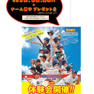 少年軟式野球、体験会、無料！