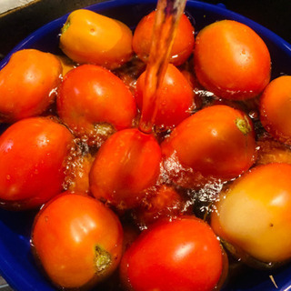 村の駅「赤幡城」トマト🍅