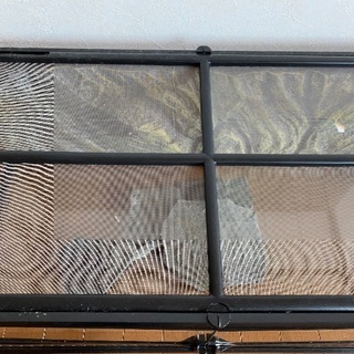 爬虫類　水槽　ジェックス エキゾテラ グラステラリウム 6030 飼育セット