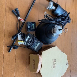 爬虫類　水槽　ジェックス エキゾテラ グラステラリウム 6030 飼育セット