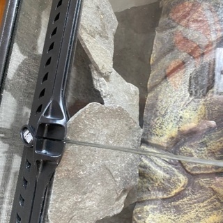 爬虫類　水槽　ジェックス エキゾテラ グラステラリウム 6030 飼育セット