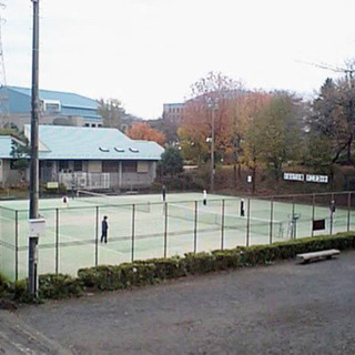 座間市　ひまわり公園　初中級〜中級　ラリー練習　硬式テニス