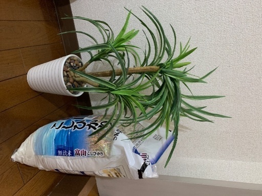 ニトリ の観葉植物本物の植物ではありません いつき 三条のインテリア雑貨 小物 置物 オブジェ の中古あげます 譲ります ジモティーで不用品の処分