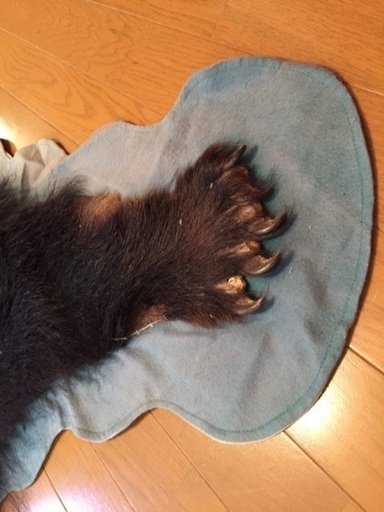 北海道 熊の毛皮（ヒグマ　すべて爪あり　ラグマット　敷物）