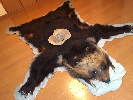 北海道 熊の毛皮（ヒグマ　すべて爪あり　ラグマット　敷物）