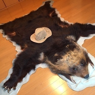 北海道 熊の毛皮（ヒグマ　すべて爪あり　ラグマット　敷物）