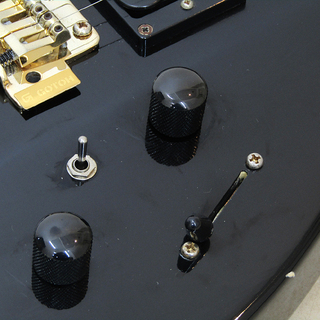 Aria Pro II⁄Aria Pro2 MAGNA SERIES エレキギター S.S.H タップSW