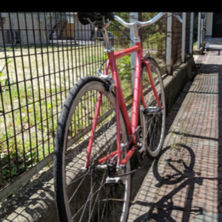 FUJI feather  本日中のみ