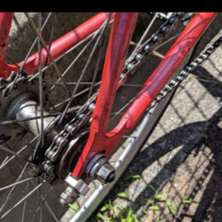 FUJI feather  本日中のみ