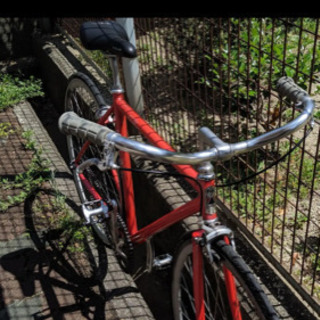 FUJI feather  本日中のみ