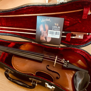 鈴木バイオリン No240 1/4 日本製 1973 バイオリン 