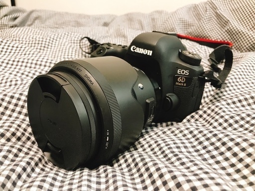 Canon 6D mark2 ※本体のみ