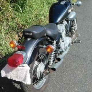 ビラーゴ250　低走行　(1231)