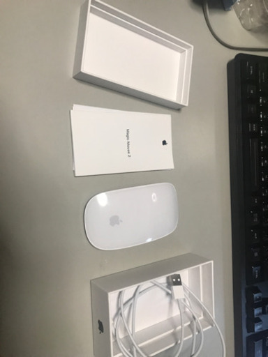 magic mouse Mac専用マウス
