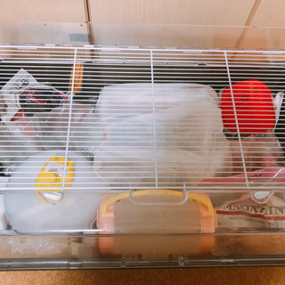 ハムスター 飼育セット デュナマルティ