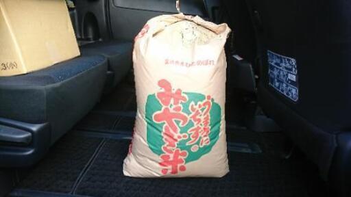 令和元年登米産ひとめぼれ玄米30キロ