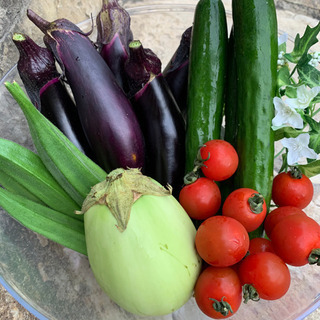 夏野菜とサツマイモ（鳴門金時）南瓜　メークィン　玉ねぎのセット