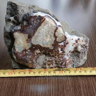 南極の石 観賞石