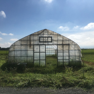 交渉中 農業用ビニールハウス 一式 【公式通販】