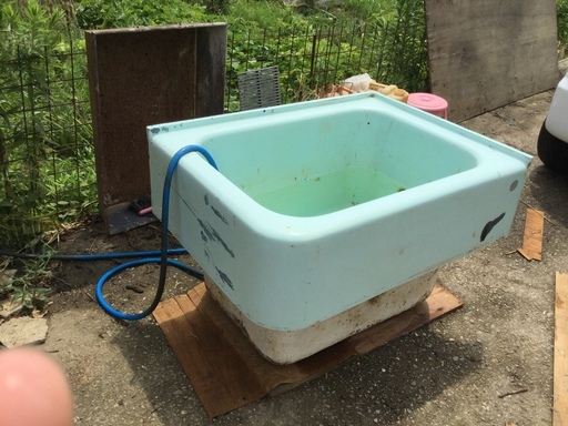 風呂浴槽水貯め魚飼育 けんけん 久米のその他の中古あげます 譲ります ジモティーで不用品の処分 風呂浴槽水貯め魚飼育 けんけん 久米のその他の中古あげます 譲ります ジモティーで不用品の処分
