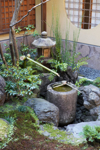 募集中 余っている睡蓮鉢 手水鉢があれば連絡ください よろしくお願いします 匿名さん 和泉府中の買いたい くださいの助け合い ジモティー 募集中 余っている睡蓮鉢 手水鉢があれば連絡ください よろしくお願いします 匿名さん 和泉府中の買いたい くださいの助け合い ジモティー