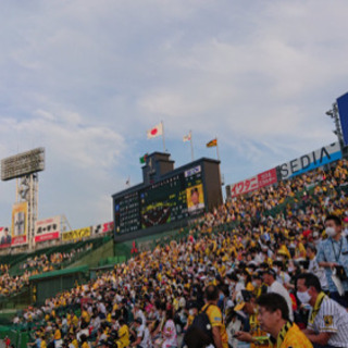 阪神 タイガース ファン Lineグル Lineグループ 野球 Tigers Kz 大阪のスポーツのメンバー募集 無料掲載の掲示板 ジモティー