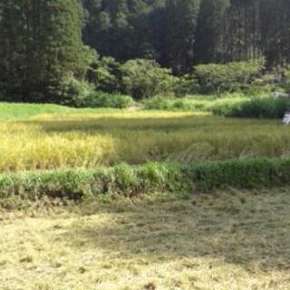 【最終値下げ】宮崎県串間産　新米コシヒカリ 最終値下げ】宮崎県串間産 新米コシヒカリ