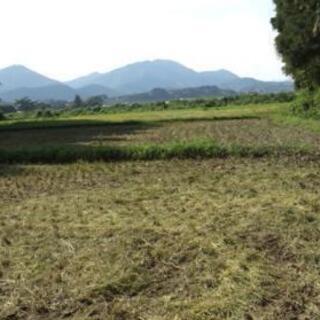 最終値下げ】宮崎県串間産 新米コシヒカリ