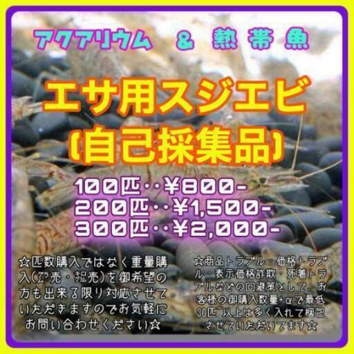 激安大特価餌用スジエビ 釣り一人歩き 聖蹟桜ヶ丘のその他の中古あげます 譲ります ジモティーで不用品の処分